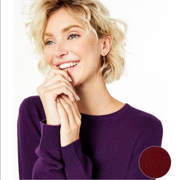 Charter Club Sweaters - Charter Club 100% Cashmere Crew Neck Wool Pullover